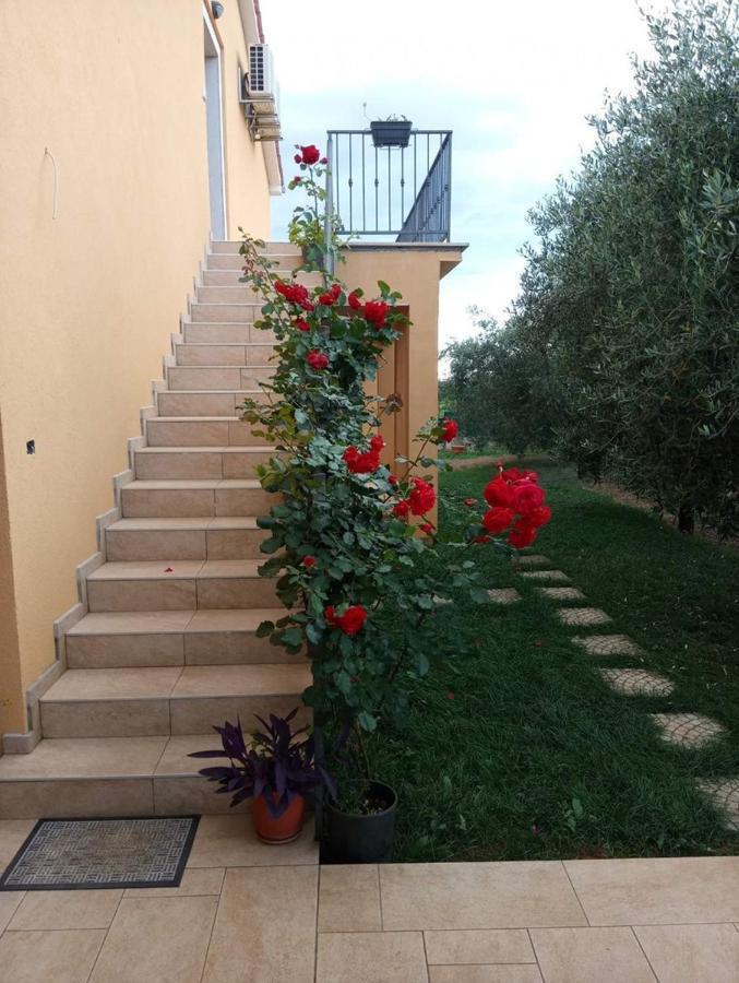 Petar In Begi Vrsar