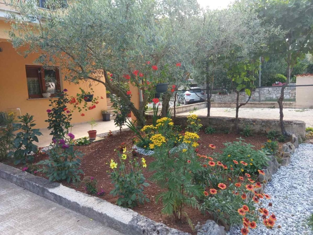 Apartment Petar In Begi